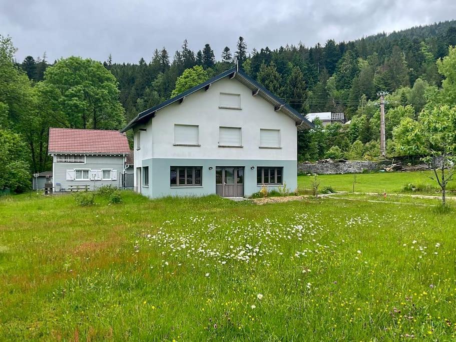 L'appart Du De - Beau & Spacieux Appartement *